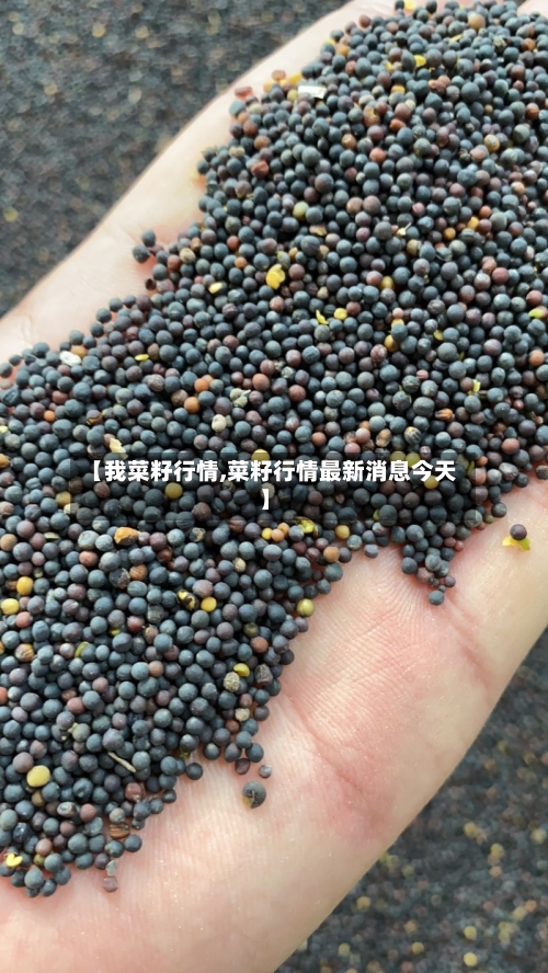 【我菜籽行情,菜籽行情最新消息今天】