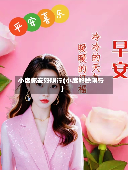 小度你安好限行(小度解除限行)