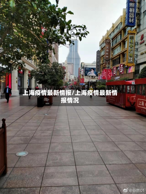 上海疫情最新情报/上海疫情最新情报情况