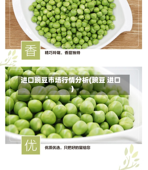 进口豌豆市场行情分析(豌豆 进口)-第3张图片