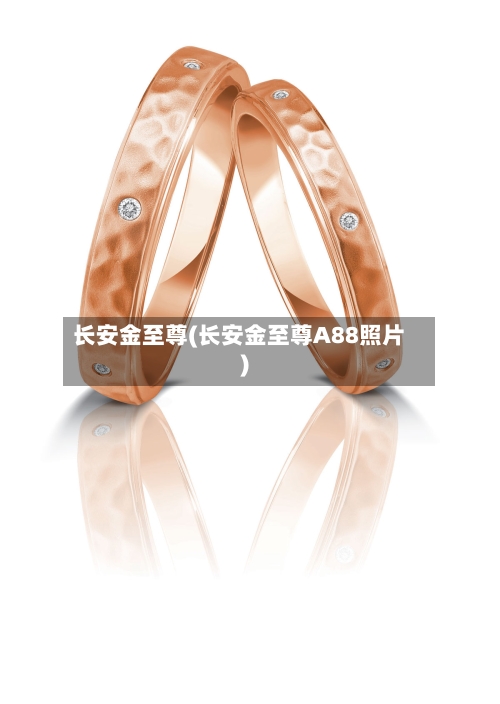 长安金至尊(长安金至尊A88照片)