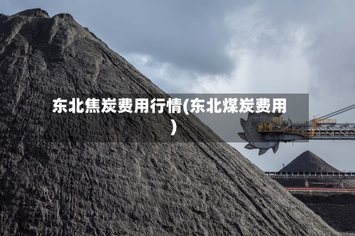 东北焦炭费用行情(东北煤炭费用)