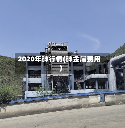 2020年砷行情(砷金属费用)