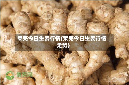 莱芜今日生姜行情(莱芜今日生姜行情走势)-第2张图片