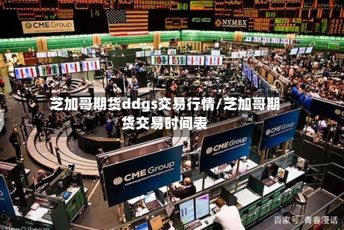 芝加哥期货ddgs交易行情/芝加哥期货交易时间表
