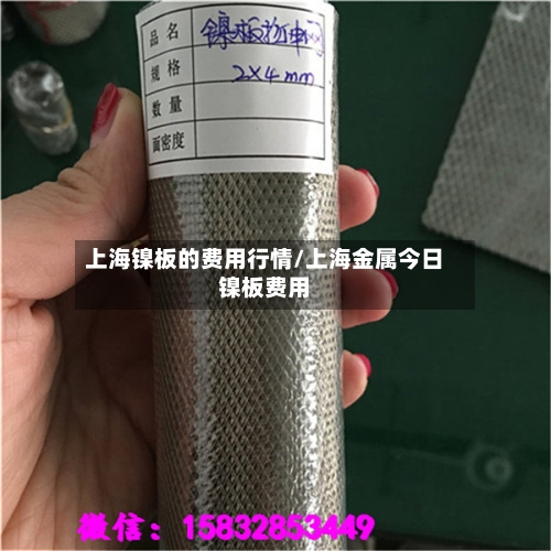 上海镍板的费用行情/上海金属今日镍板费用