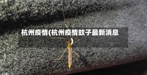 杭州疫情(杭州疫情蚊子最新消息)