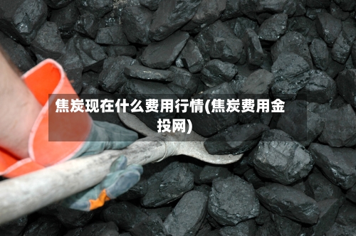 焦炭现在什么费用行情(焦炭费用金投网)-第2张图片