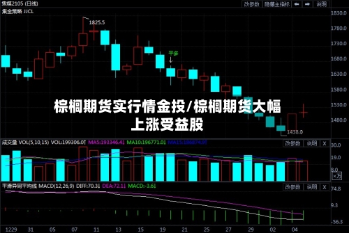 棕榈期货实行情金投/棕榈期货大幅上涨受益股
