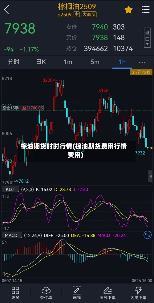 棕油期货时时行情(棕油期货费用行情费用)-第3张图片