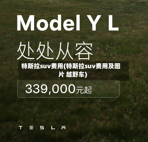 特斯拉suv费用(特斯拉suv费用及图片 越野车)-第2张图片
