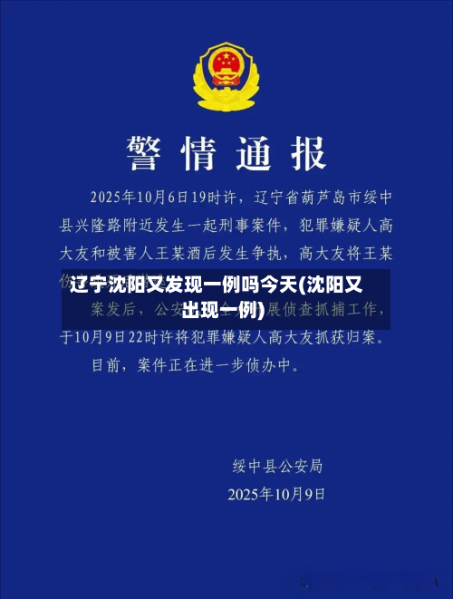 辽宁沈阳又发现一例吗今天(沈阳又出现一例)-第3张图片