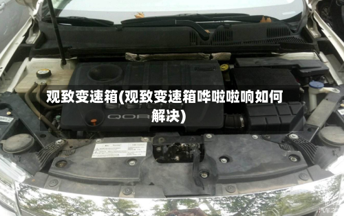 观致变速箱(观致变速箱哗啦啦响如何解决)