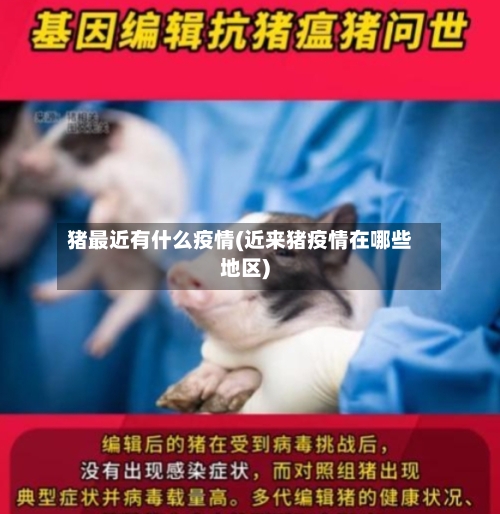 猪最近有什么疫情(近来猪疫情在哪些地区)-第2张图片