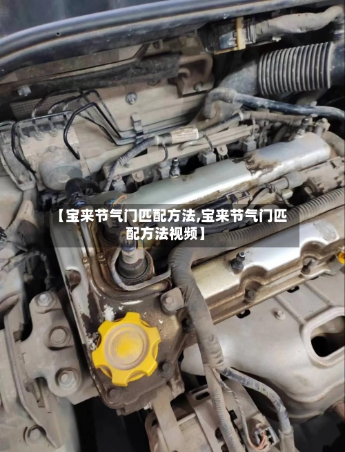 【宝来节气门匹配方法,宝来节气门匹配方法视频】-第3张图片