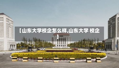 【山东大学校企怎么样,山东大学 校企】