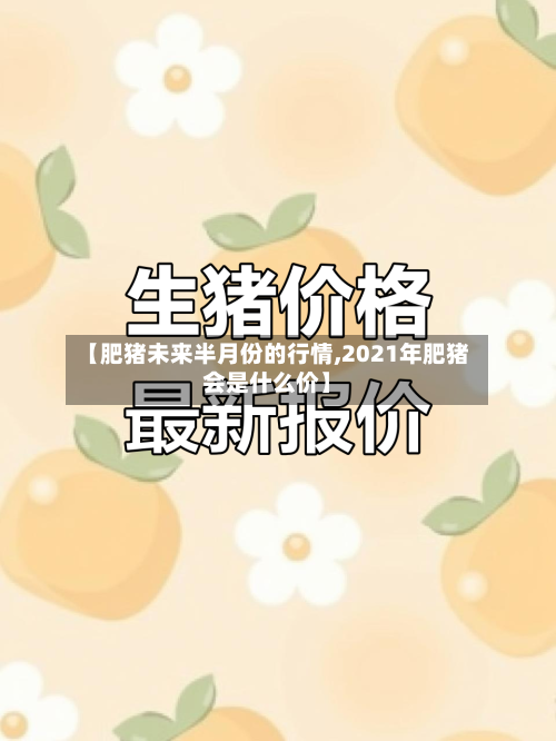 【肥猪未来半月份的行情,2021年肥猪会是什么价】