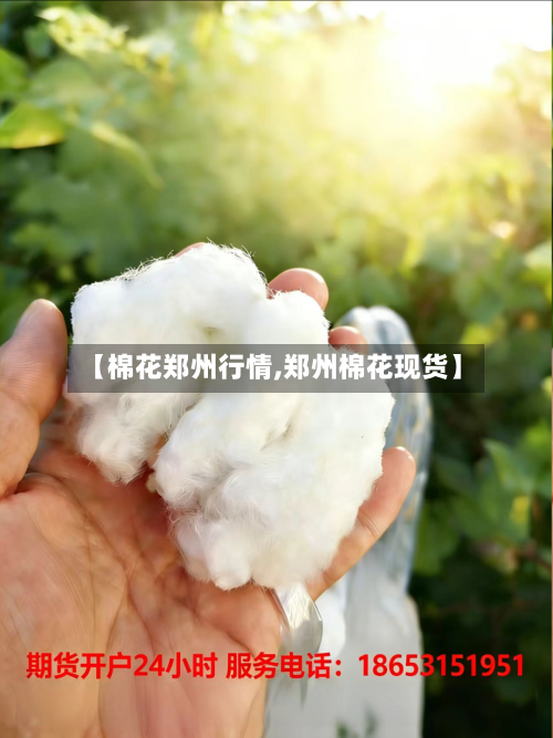【棉花郑州行情,郑州棉花现货】-第2张图片