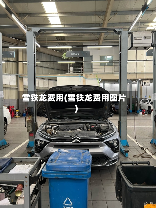 雪铁龙费用(雪铁龙费用图片)