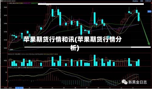 苹果期货行情和讯(苹果期货行情分析)