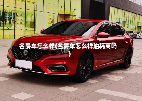 名爵车怎么样(名爵车怎么样油耗高吗)-第3张图片