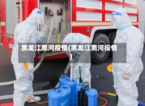 黑龙江黑河疫情(黑龙江黑河役情)-第2张图片