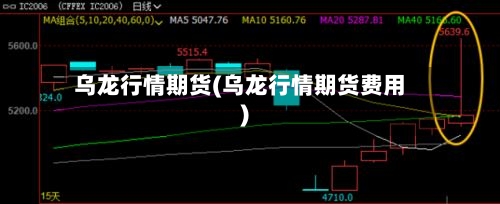 乌龙行情期货(乌龙行情期货费用)