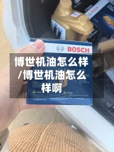 博世机油怎么样/博世机油怎么样啊-第2张图片