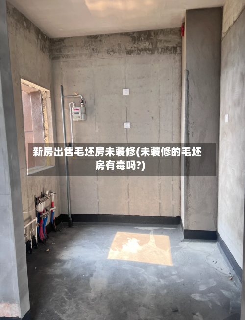 新房出售毛坯房未装修(未装修的毛坯房有毒吗?)