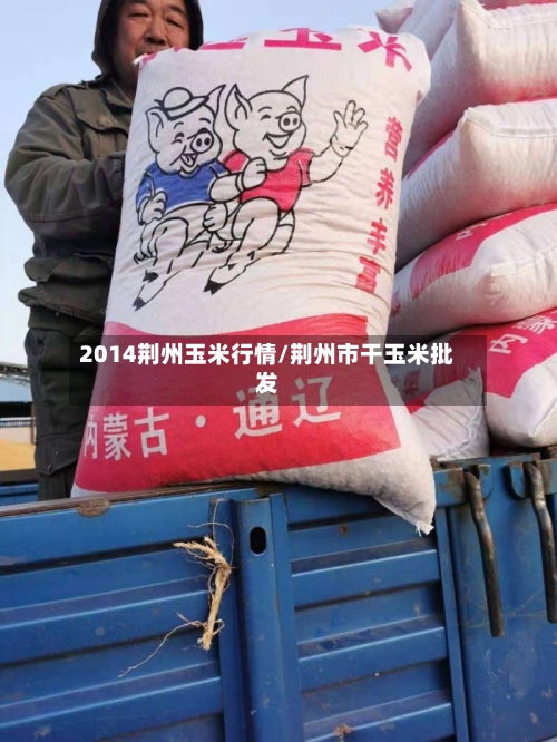 2014荆州玉米行情/荆州市干玉米批发-第2张图片