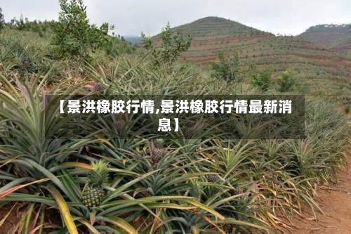 【景洪橡胶行情,景洪橡胶行情最新消息】