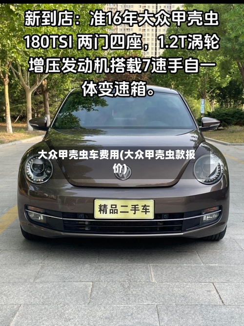 大众甲壳虫车费用(大众甲壳虫款报价)-第3张图片