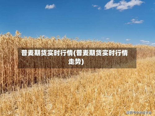 普麦期货实时行情(普麦期货实时行情走势)
