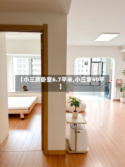 【小三房卧室6.7平米,小三室60平】