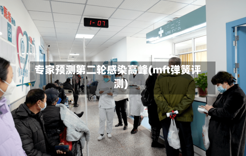 专家预测第二轮感染高峰(mft弹簧评测)-第2张图片