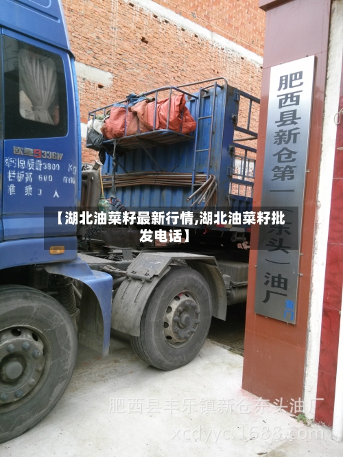 【湖北油菜籽最新行情,湖北油菜籽批发电话】