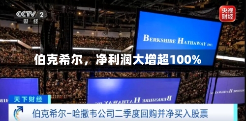 伯克希尔	，净利润大增超100%-第2张图片
