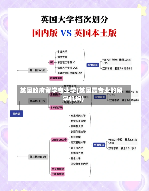 英国政府留学专业学(英国最专业的留学机构)