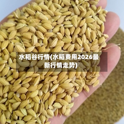 水稻谷行情(水稻费用2026最新行情走势)-第2张图片