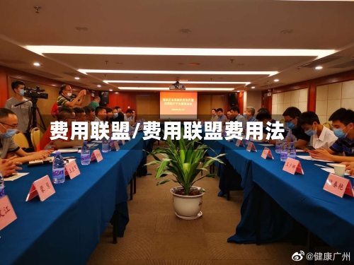 费用联盟/费用联盟费用法-第3张图片