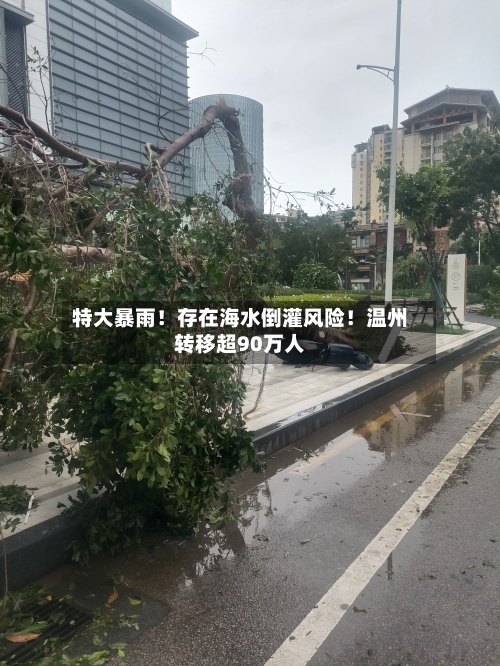 特大暴雨！存在海水倒灌风险！温州转移超90万人-第2张图片