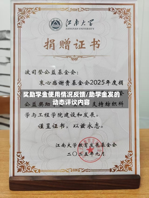 奖助学金使用情况反馈/助学金发的动态评议内容