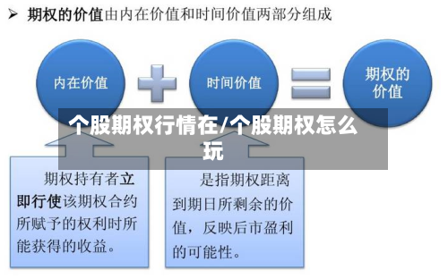 个股期权行情在/个股期权怎么玩-第3张图片