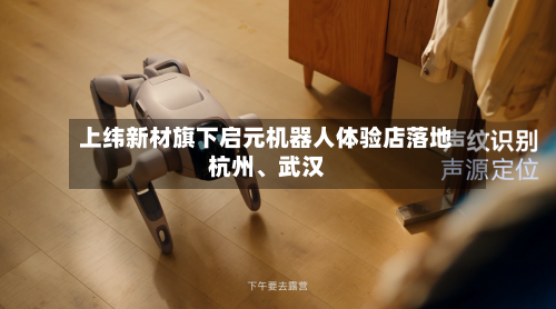 上纬新材旗下启元机器人体验店落地杭州、武汉-第1张图片