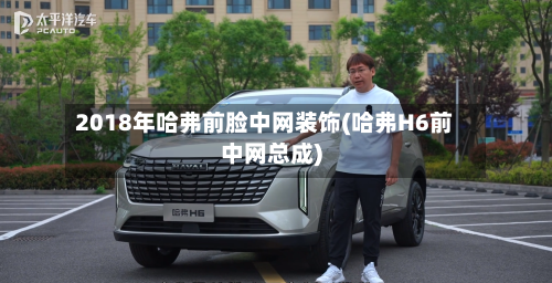 2018年哈弗前脸中网装饰(哈弗H6前中网总成)-第2张图片