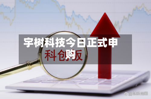 宇树科技今日正式申购