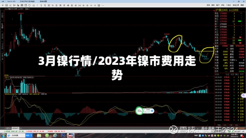 3月镍行情/2023年镍市费用走势