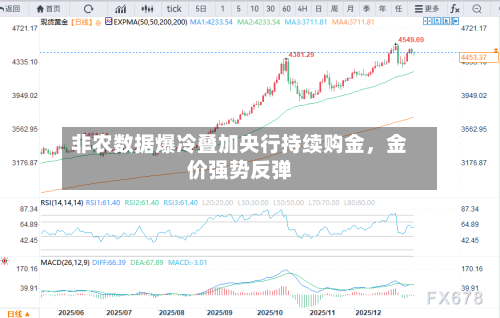 非农数据爆冷叠加央行持续购金，金价强势反弹-第3张图片