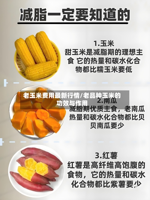 老玉米费用最新行情/老品种玉米的功效与作用-第2张图片