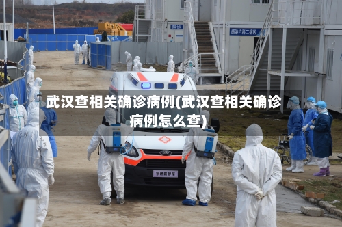 武汉查相关确诊病例(武汉查相关确诊病例怎么查)-第2张图片